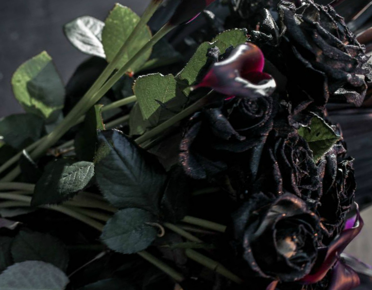 Black Halfeti roses in rain