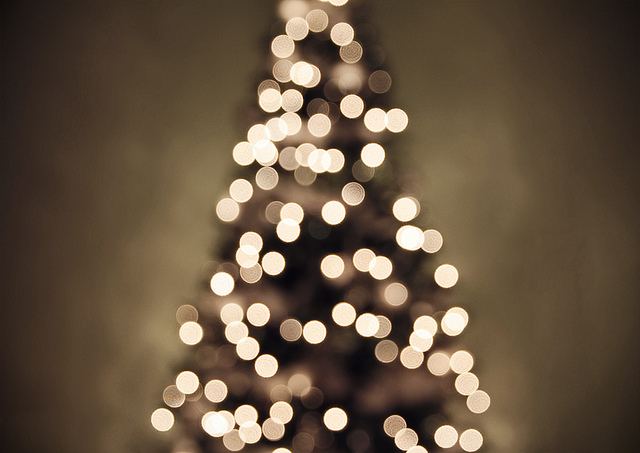 Out-of-focus image of a Christmas tree with lights.