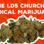 medical marijuana title image