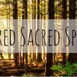 sacred space sacred grove