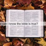 An internet search bar overlapping a Bible resting on colorful leaves.