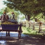 Amish men on waggon