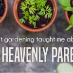 what gardening taught me about our heavenly parents