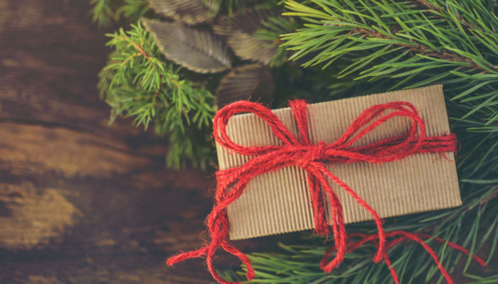 diy christmas present wrapped next to pine leaves with red bow